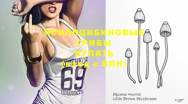 трава Михайловск