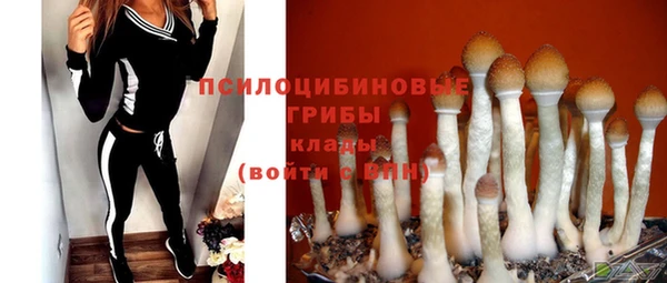 мяу мяу мука Михайлов