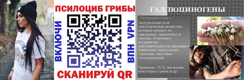 Галлюциногенные грибы Psilocybine cubensis  Ярославль 