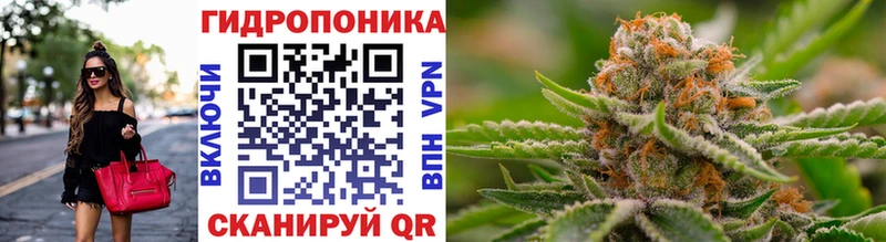 Марихуана White Widow Ярославль